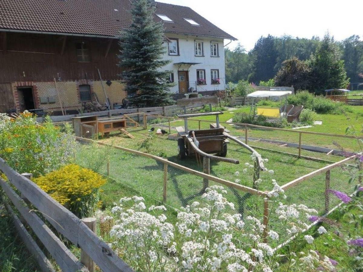 Carlo Apartman Wangen im Allgäu Kültér fotó