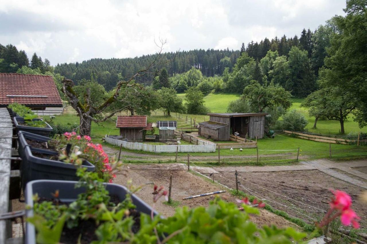 Carlo Apartman Wangen im Allgäu Kültér fotó