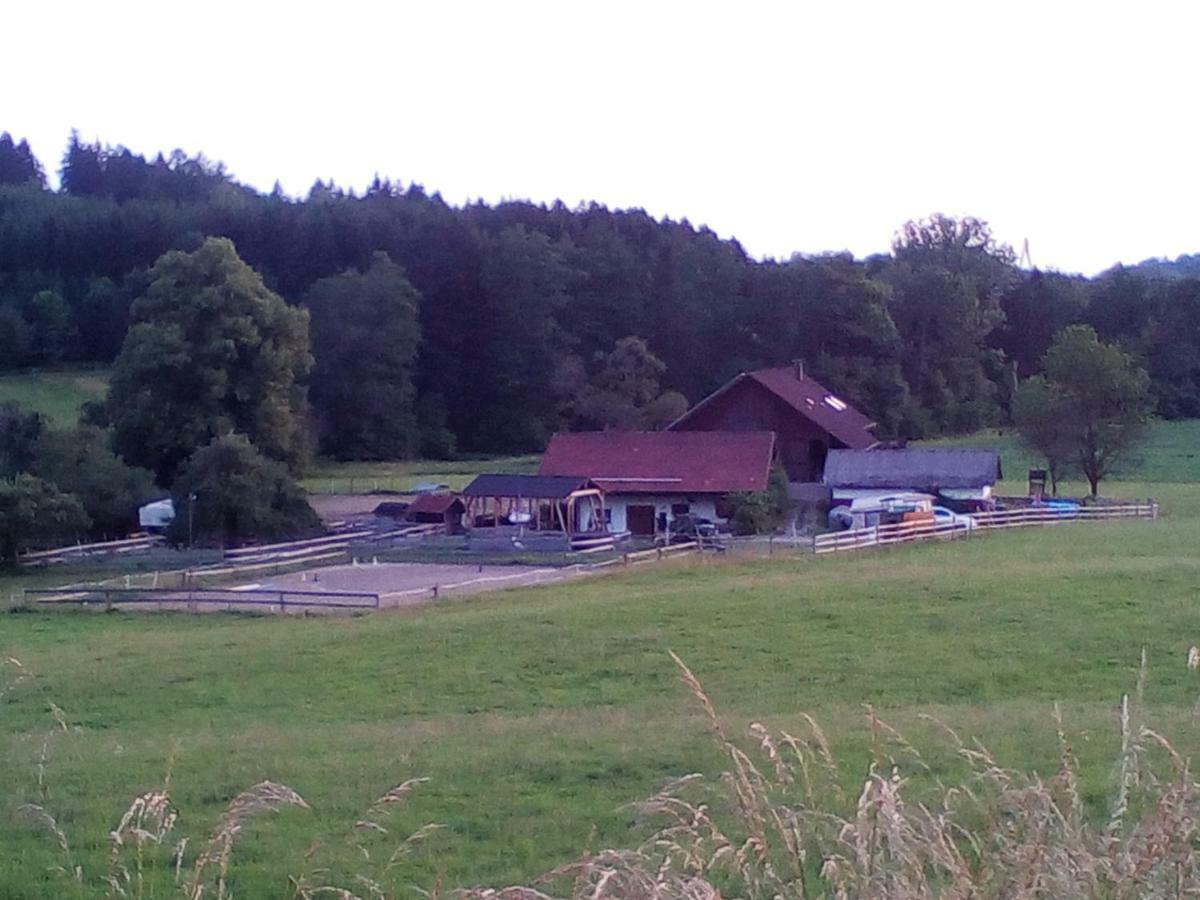 Carlo Apartman Wangen im Allgäu Kültér fotó